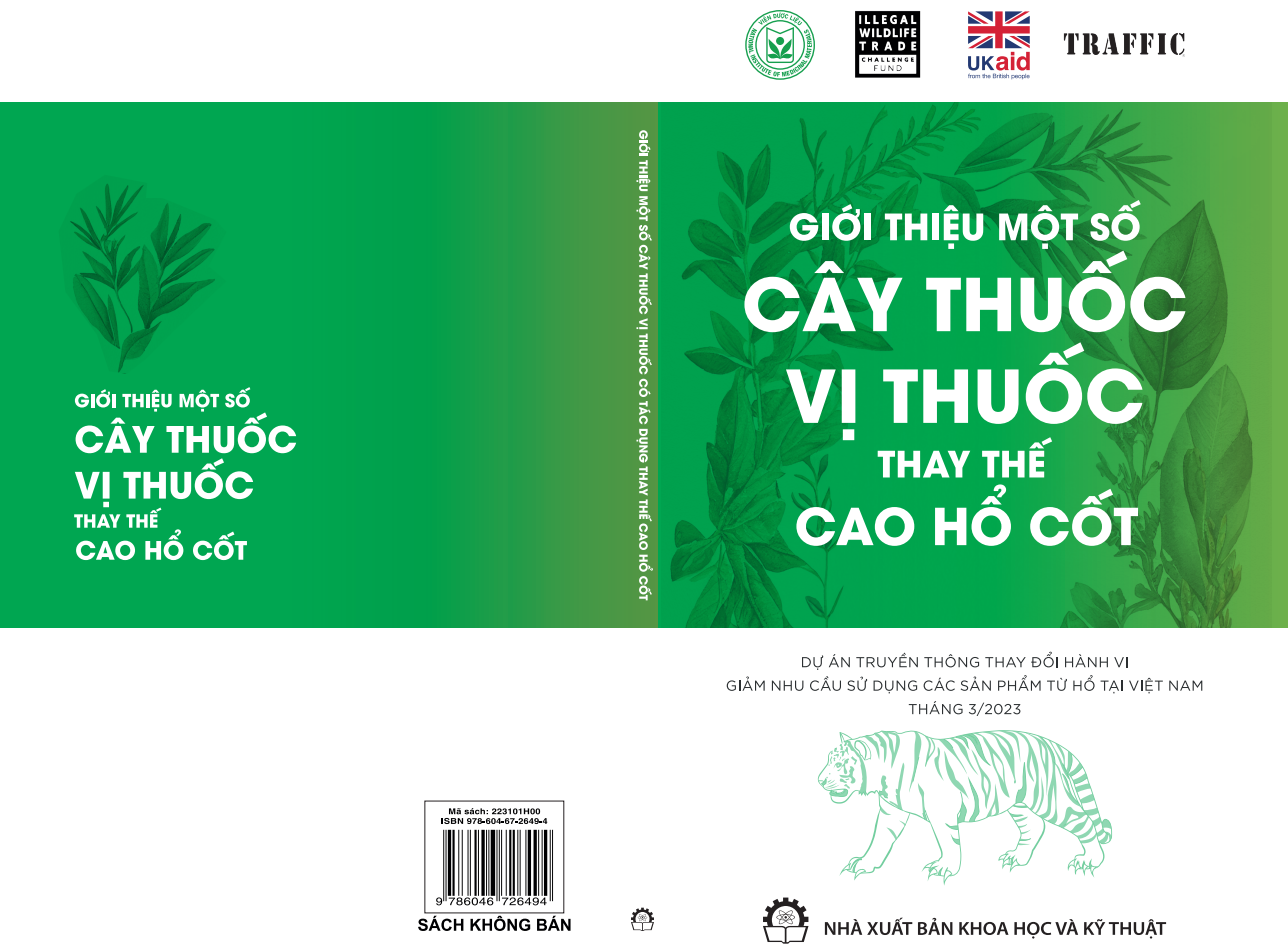 Không có ảnh